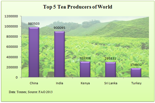 Top tea producing countries