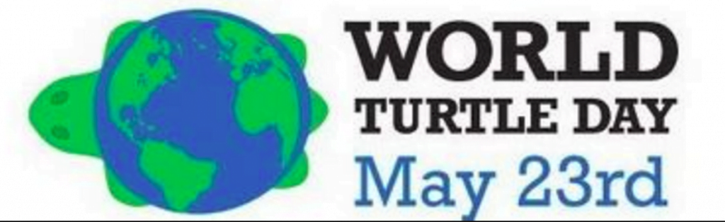 World Turtle Day