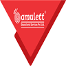 Amulett Educational Services Pvt. Ltd.