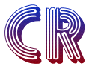Career Race Academy