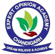 Expert Opinion Academy