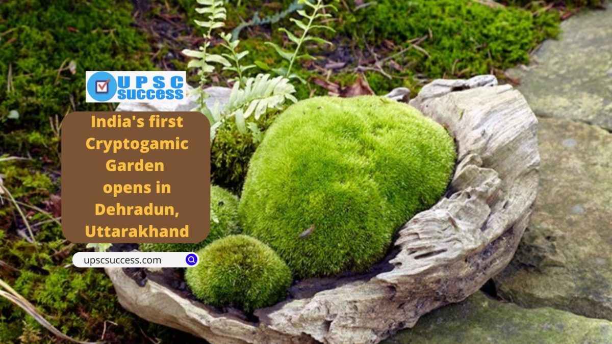 India's first Cryptogamic Garden