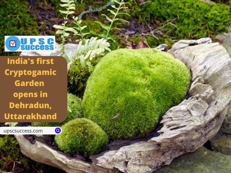 India's first Cryptogamic Garden